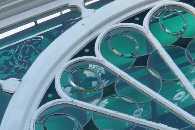 Colored and Tinted Options