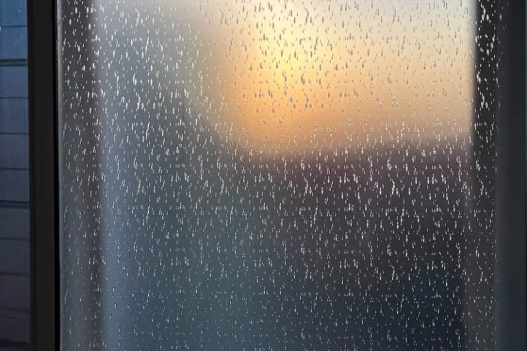 Seeded Obscure Glass